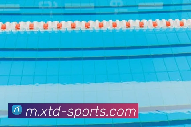 App Interface Preview